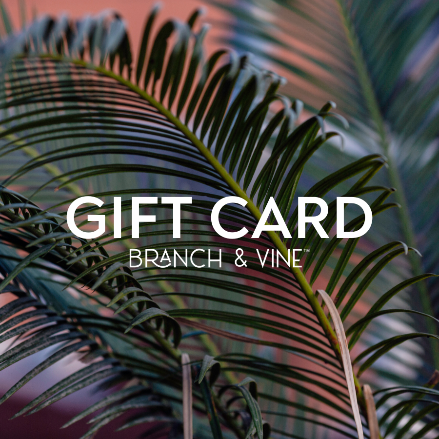 B&V Gift Card